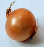 Onion , Lentils