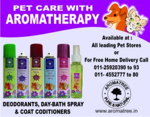 Pet wellness products
