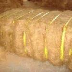 Coir Fiber