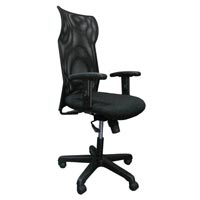 Executive Chair with Head Rest Net