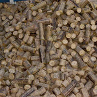 Biomass Briquettes