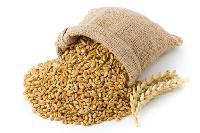 organic cereal grain