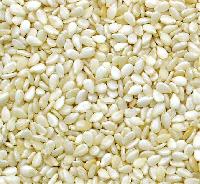 Sesame Seeds