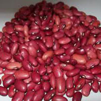 Kidney Beans