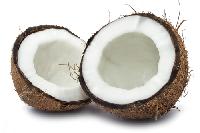 Coconut