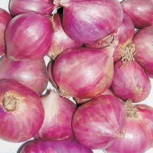 Small Onion