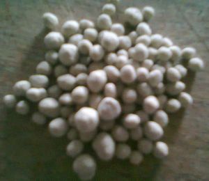 bio organic granular Fertilizer