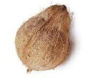 Coconut