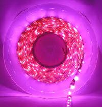 Premium Led Strip