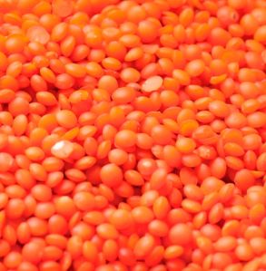 Red Lentils