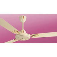 Ceiling Fans