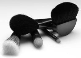 Cosmetic Brush