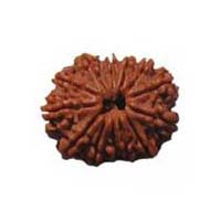 Rudraksha Beads