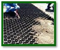 Grass Paver