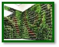 Vertical Green Bio Wall Garden