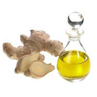 Ginger Oil