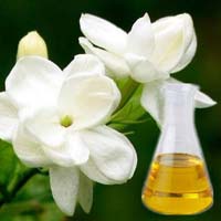 Jasmine Oil