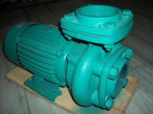 Centrifugal Pumps