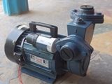 Mono Block Pumps 1Hp