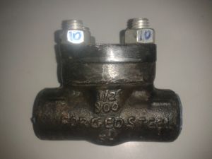 Forged Check Valve