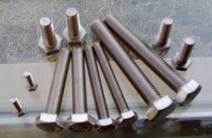 Stainless Steel Bolts