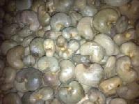 Cashew Nut in Shell