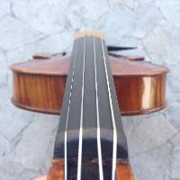 violin fingerboards