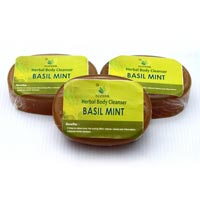 Herbal Body Cleanser - Basil Mint