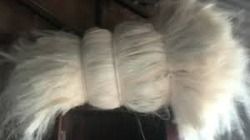 Sisal Fiber