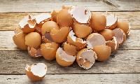 Egg Shells