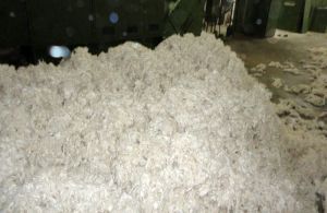 Cotton Yarn Waste