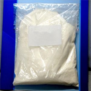 Testosterone Propionate