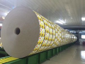 Multilayer Packaging rolls