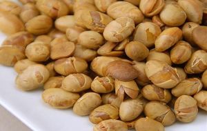 roasted soya