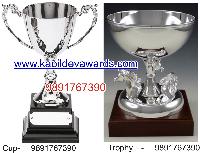 Silver Trophies