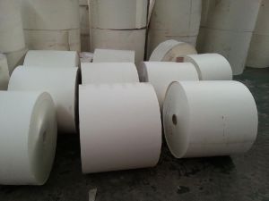 PE Coated Paper Rolls