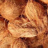 Export Quality Mature Brown Coconuts