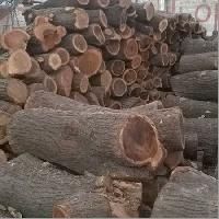 Babool Wood