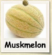 muskmelon