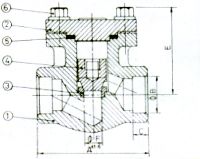 Forged Check Valve