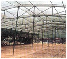 Agro Shade Net / Shadow Mesh