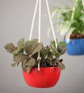 Hanging Ceramic Planter