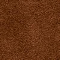 Cow Aniline Leather