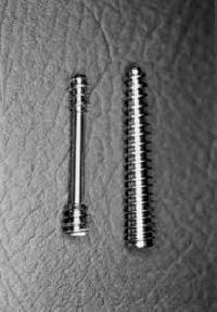 Single Screw