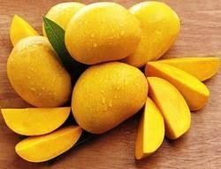 Alphonso Mangoes