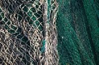 Fishing Ropes