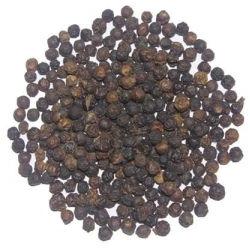 Black Pepper Seeds