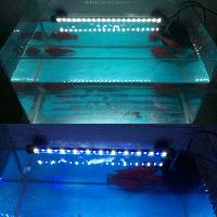 submersible lights