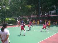 Synthetic Volleyball Court Floorings