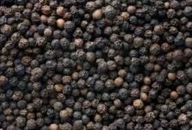 Black Pepper